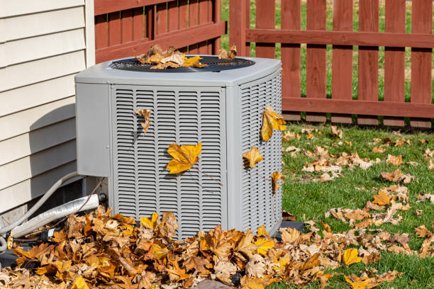 Best Furnace Cleaning in Dunnavant, AL